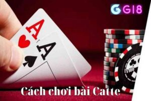 Bài Catte online Gi8